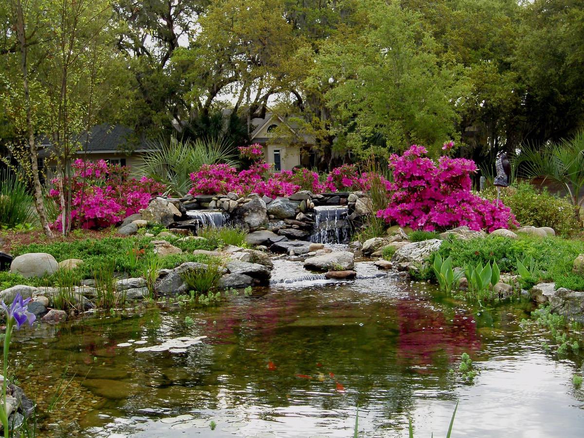 Pretty ponds: Trevor Strever creates serene garden ...