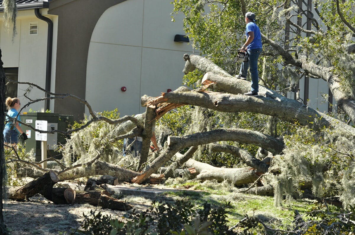 Conrad Meier, pastor of Praise Assembly on Parris Island Gateway, stands on the massive oak tree that came down on church grounds. The church had two trees downed by Hurricane Matthew. Meier said the church would be open for Wednesday night services. Photo by Bob Sofaly.
