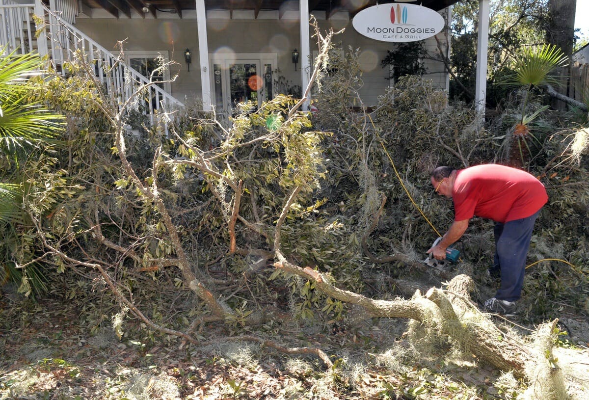 Dave Vista, owner of Moon Doggies Cafe in Port Royal, said none of the trees or limbs on the property came down on his business and experienced no interior flooding. Vista said he would be open for business very soon. Photo by Bob Sofaly.