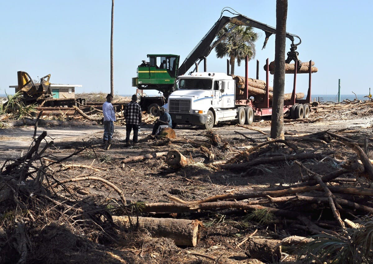 Heavy equipment hauls out fallen pine and palmetto trees at Hunting Island. There are no more sand dunes to protect the popular beach, leaving the entire park vulnerable.